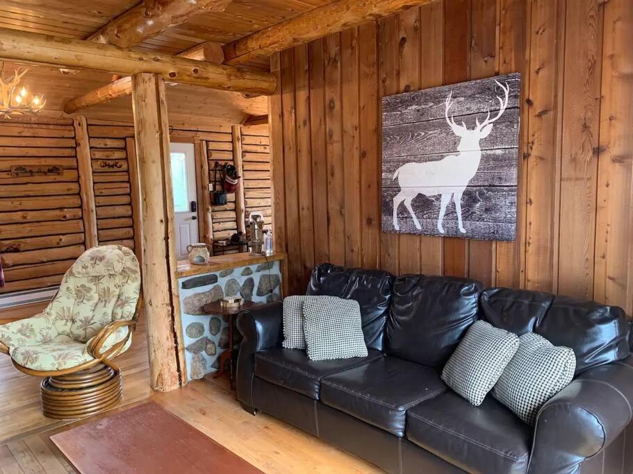 Cozy Log Cottage La Minerve Ngoại thất bức ảnh