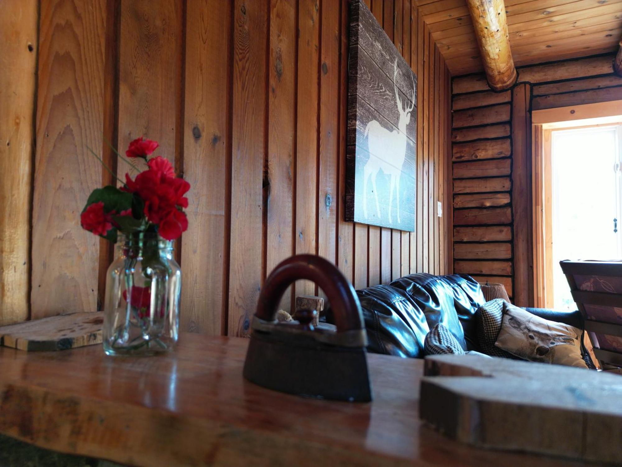 Cozy Log Cottage La Minerve Ngoại thất bức ảnh
